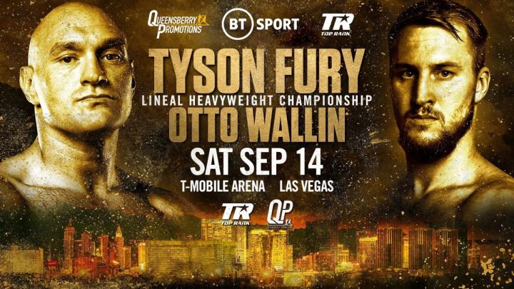 Image result for fury wallin